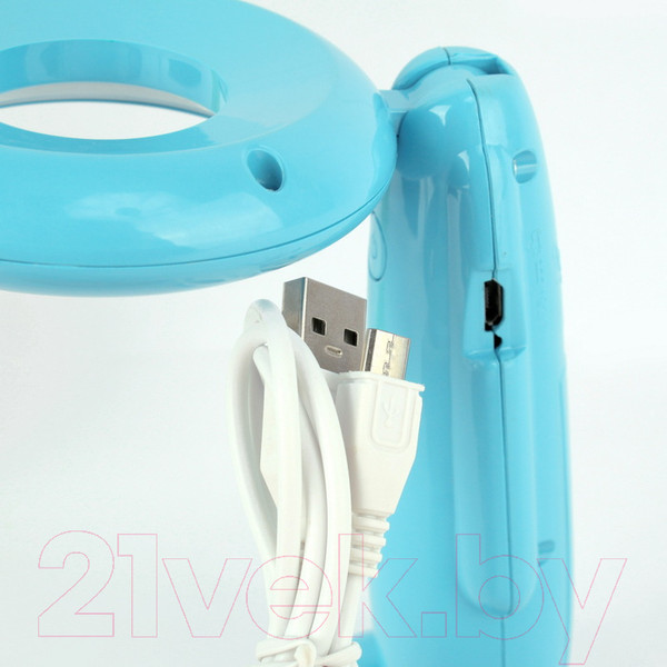 Изображение товара Декоративное освещение Darvish DV-H-1160