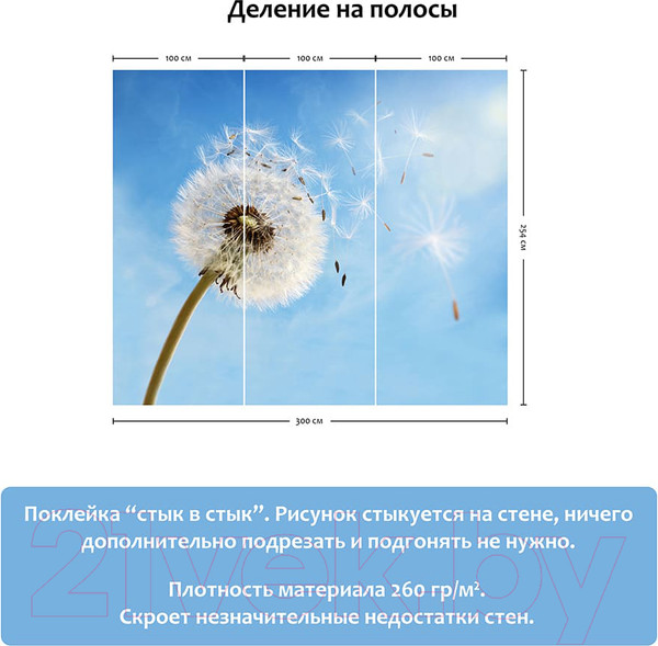 Изображение товара Фотообои листовые Citydecor Одуванчик 2 (300x254)