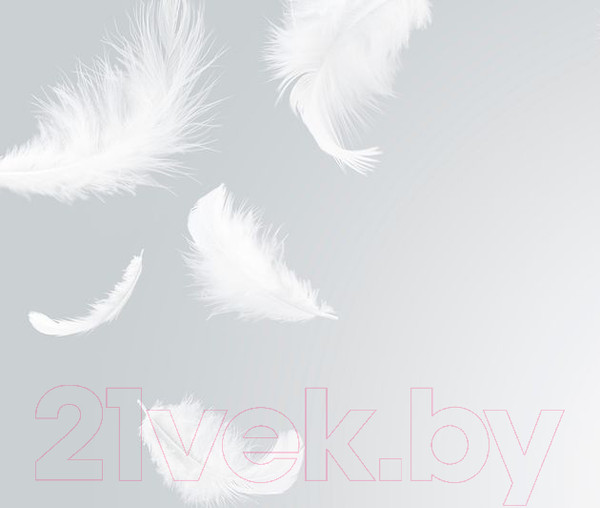 Изображение товара Фотообои листовые Citydecor Перышки (300x254)