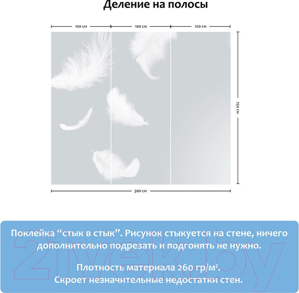 Изображение товара Фотообои листовые Citydecor Перышки (300x254)