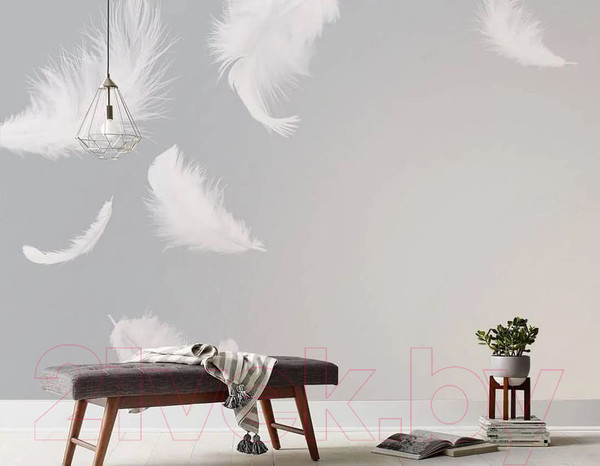 Изображение товара Фотообои листовые Citydecor Перышки (300x254)