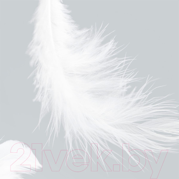 Изображение товара Фотообои листовые Citydecor Перышки (300x254)