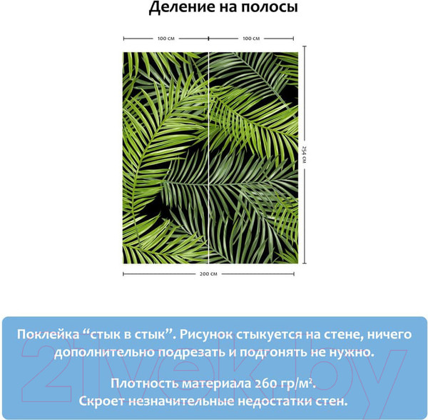 Изображение товара Фотообои листовые Citydecor Тропические листья (200x254)