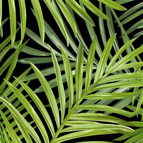 Изображение товара Фотообои листовые Citydecor Тропические листья (200x254)