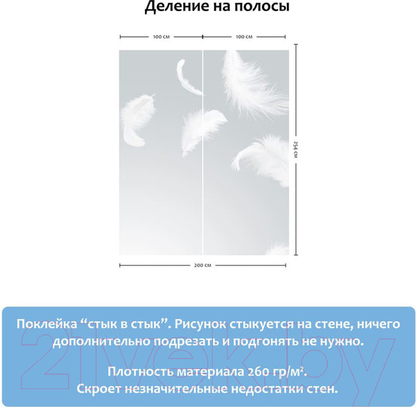 Изображение товара Фотообои листовые Citydecor Перышки (200x254)