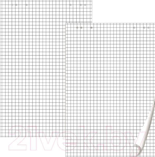 Изображение товара Бумага для флипчарта Brauberg 5шт / 124097 (20л, клетка)