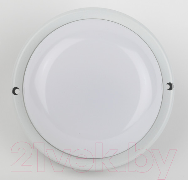 Изображение товара Светильник ЖКХ ЭРА SPB-201-0-40К-015 / Б0047623