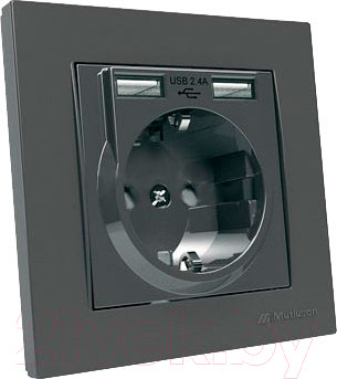 Изображение товара Розетка Mutlusan Rita 2220 619 0295 (дымчатый)