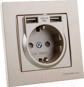 Изображение товара Розетка Mutlusan Rita 2220 619 0283 (титановый)