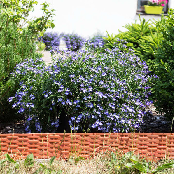 Изображение товара Бордюр садовый Prosperplast Garden Border IBRA-R624 (терракот)