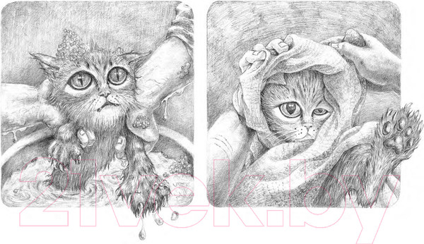 Изображение товара Художественная книга Попурри Потерялся кот (Найвэнь Г.)