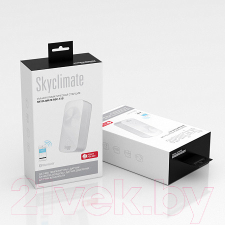 Изображение товара Умная климатическая станция Redmond Skyclimate RSC-51S (белый)