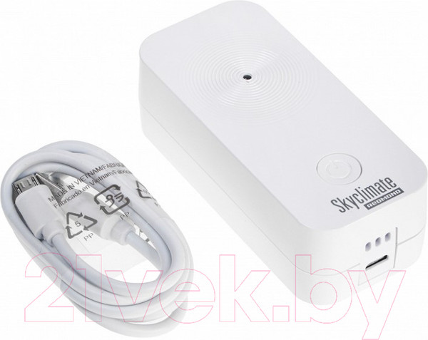 Изображение товара Умная климатическая станция Redmond Skyclimate RSC-51S (белый)