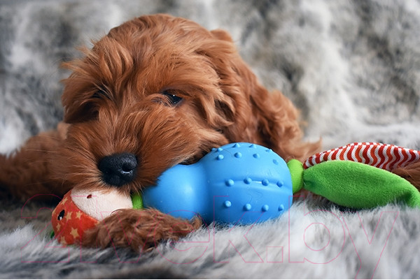 Изображение товара Игрушка для собак Rosewood Жирафик Джолли / 39042/RW (мультиколор)