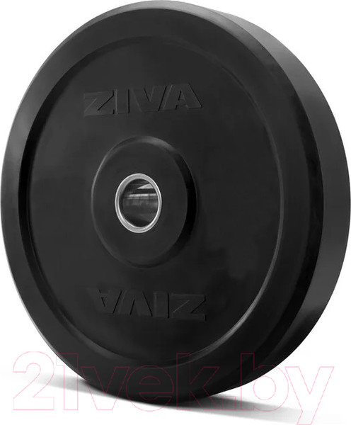 Изображение товара Диск для штанги Ziva Pro FЕ / ZFT-BPRB-0679 (15кг, серый)