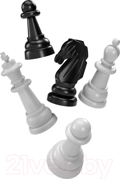 Изображение товара Шахматы Десятое королевство 03883