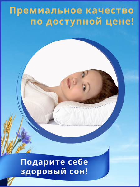 Изображение товара Подушка для сна Барро 106-303 60x40