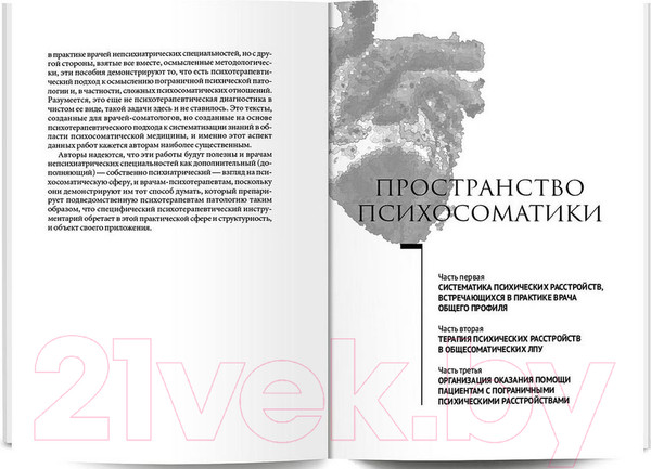 Изображение товара Книга Капитал Психосоматика. Психотерапевтический подход. Курпат (Курпатов А., Аверьянов Г.)