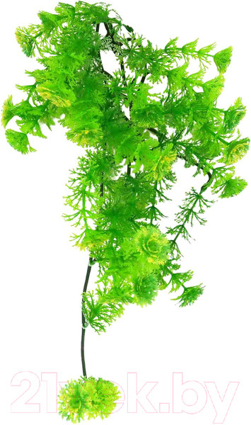 Изображение товара Декорация для террариума Lucky Reptile Turtle Plant Horn Fern / TP-42