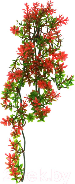 Изображение товара Декорация для террариума Lucky Reptile Turtle Plant Ludwigia / TP-40