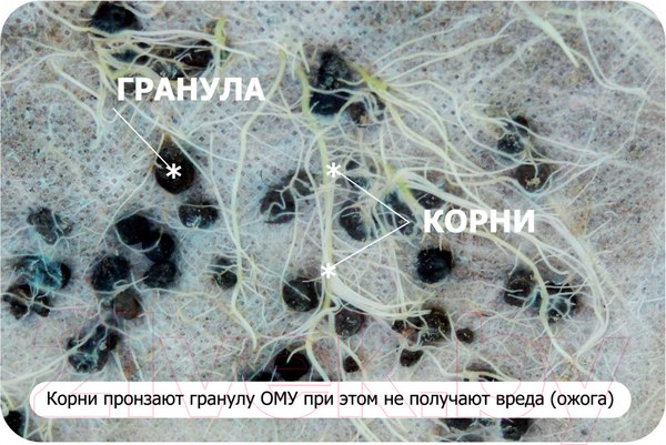 Изображение товара Удобрение Буйские удобрения ОМУ Осеннее (1кг)