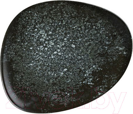 Изображение товара Тарелка столовая обеденная Bonna Cosmos Black Vago / COSBLVAO33DZ