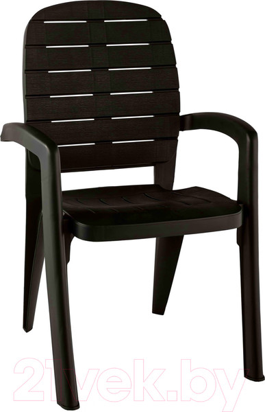 Изображение товара Стул пластиковый Ellastik Plast Прованс 58x46.5x90 (шоколад)