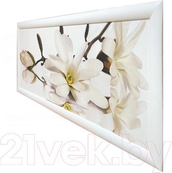 Изображение товара Картина Декарт Нежная белая орхидея 8Л3007 (в раме)