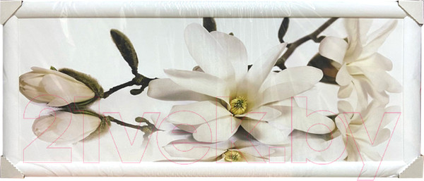 Изображение товара Картина Декарт Нежная белая орхидея 8Л3007 (в раме)