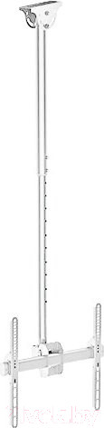 Изображение товара Кронштейн для телевизора ARM Media LCD-1700W (белый)