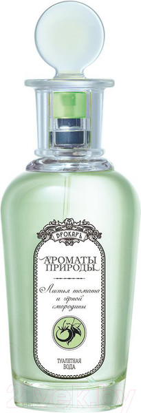 Изображение товара Туалетная вода Brocard Ароматы Природы. Листья томата и черной смородины (100мл)