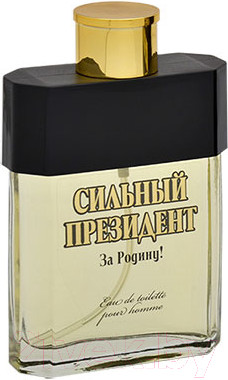 Изображение товара Туалетная вода Positive Parfum Сильный Президент За Родину! (95мл)
