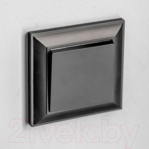 Изображение товара Выключатель Werkel W1110008 / a051608 (черный матовый)
