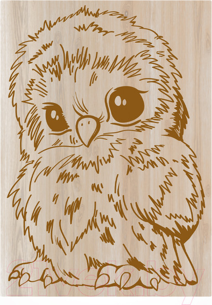 Изображение товара Набор досок для выжигания Десятое королевство Совенок и щенок / 01775