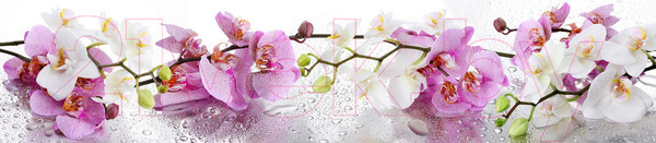 Изображение товара Скиналь Албико-групп КМ 47