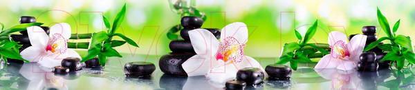 Изображение товара Скиналь Албико-групп КМ 39