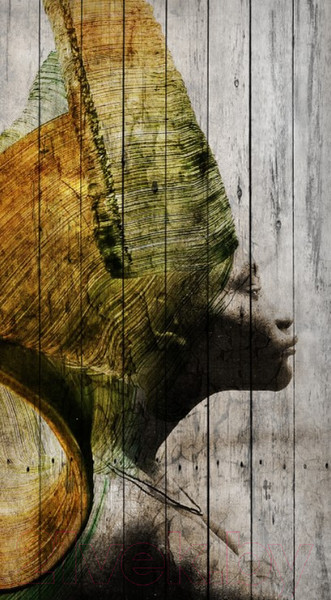 Изображение товара Картина White Wood B112-V-072-115-6.41