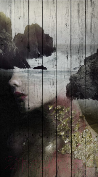 Изображение товара Картина White Wood B112-V-072-115-6.44