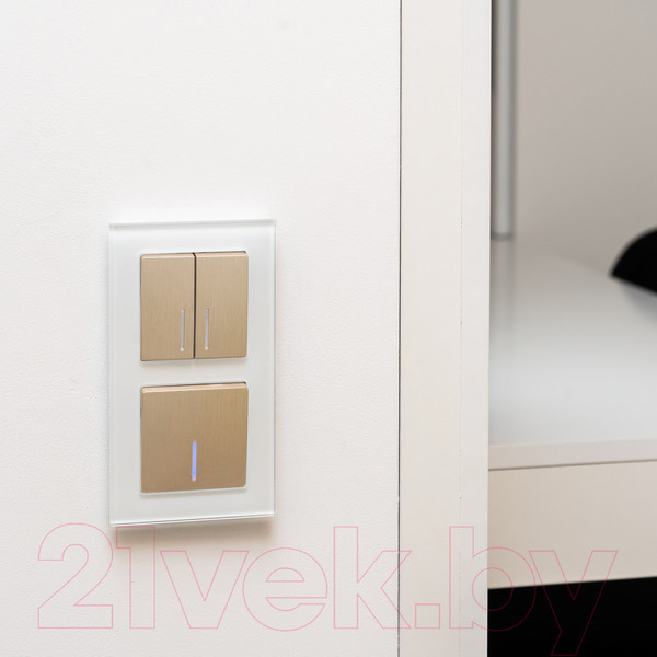 Изображение товара Выключатель Werkel W1110110 / a051413 (шампань рифленый)