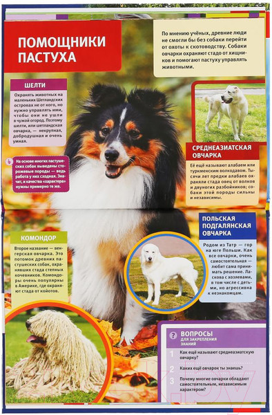 Изображение товара Энциклопедия Умка 100 секретов фермы с развивающими заданиями