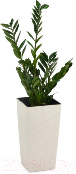 Изображение товара Кашпо Lamela Finezja LA590-74
