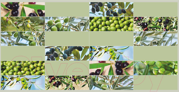 Изображение товара Панель ПВХ Grace Плитка Ветви оливы (955x480x3.5мм)