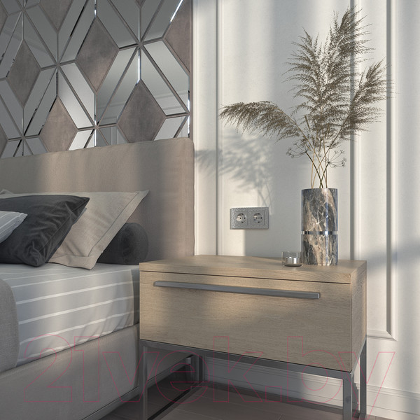 Изображение товара Розетка Werkel W1271106 / a052076 (серебристый)