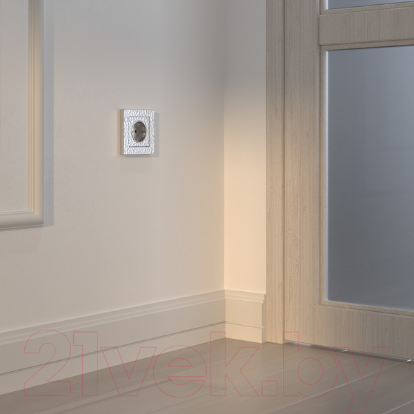 Изображение товара Розетка Werkel W1271106 / a052076 (серебристый)