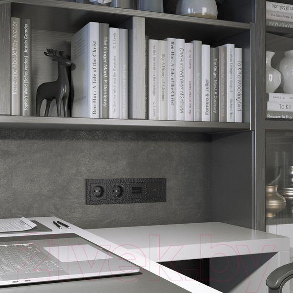 Изображение товара Розетка Werkel W1271108 / a052052 (черный)