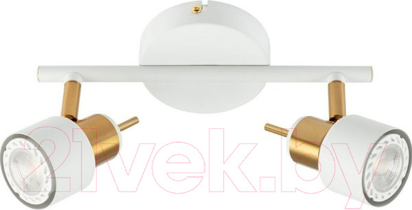 Изображение товара Потолочный светильник Arte Lamp Almach A1906PL-2WH
