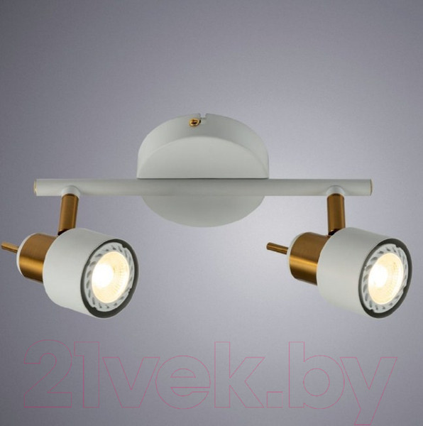 Изображение товара Потолочный светильник Arte Lamp Almach A1906PL-2WH