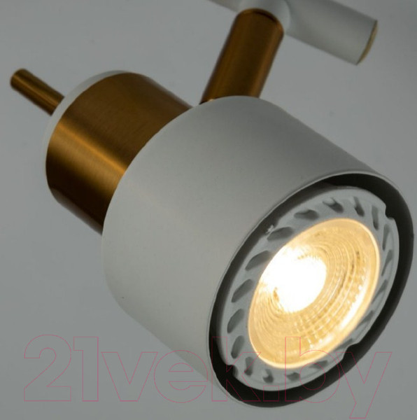 Изображение товара Потолочный светильник Arte Lamp Almach A1906PL-2WH