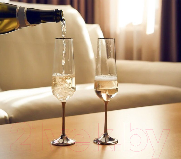 Изображение товара Набор бокалов Stenova Home Home Mercury 611063 (2шт)