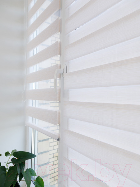 Изображение товара Рулонная штора АС МАРТ Вудэн 48x160 (белый)